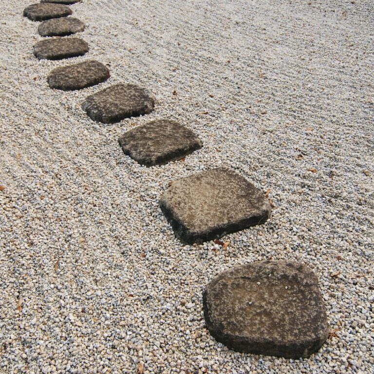 Neue Wege gehen